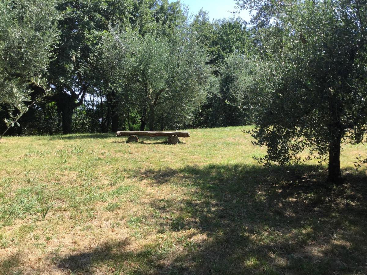 B&B Corte Sant'Angelo Passirano 外观 照片
